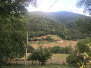 AguasDomicilioSocial