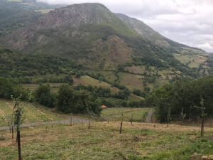 MerugasIIElAceboLaEspina